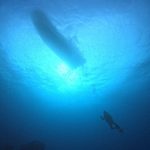 <span class="title">リピーターさんと砂地でまったり2ダイビング＆石垣島の食堂ランチ♪</span>