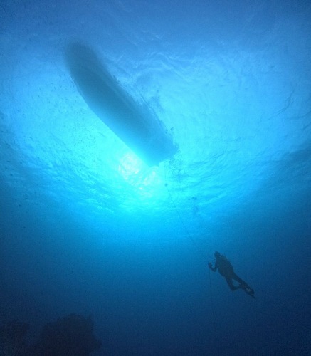 ファンダイビング1