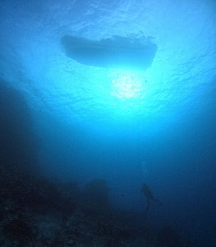 ファンダイビング2