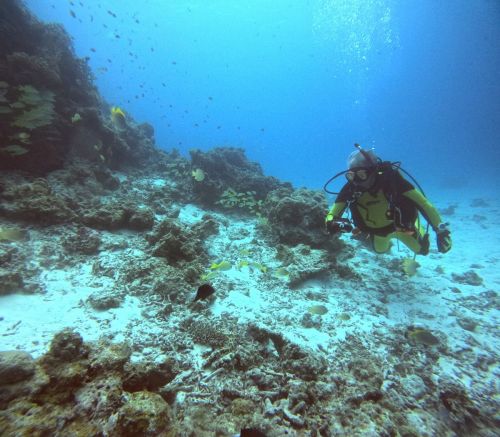 ファンダイビング3