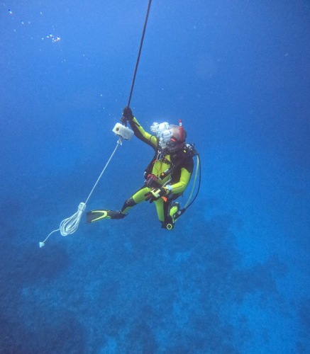 ファンダイビング5