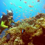 <span class="title">石垣島は冬の海！ダイビングで冷えた身体もスタミナラーメンでポカポカ♪</span>