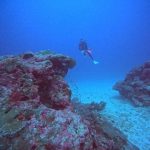 <span class="title">石垣島はスーパークリアな透明度！大物系リピーターさんと少人数制ダイビング！</span>