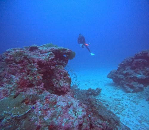 ファンダイビング