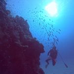 <span class="title">風波バシャバシャの石垣島！大物系リピーターさんと砂地でGroovyなダイビング？</span>