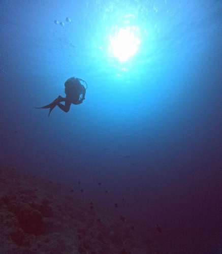 ファンダイビング1