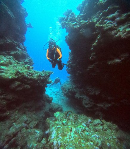 ファンダイビング1