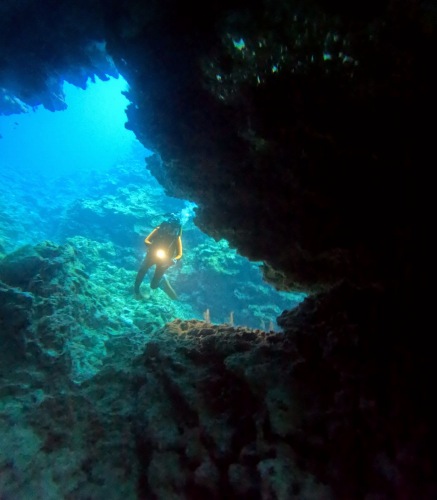 ファンダイビング2