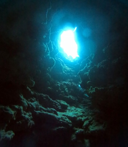 ファンダイビング3