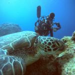 <span class="title">石垣島は乾燥注意報？本日も大物系からカラフル系まで盛り盛りダイビング！</span>