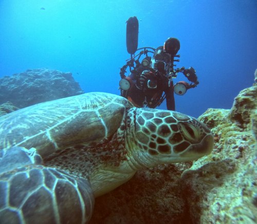 水中フォトグラファー