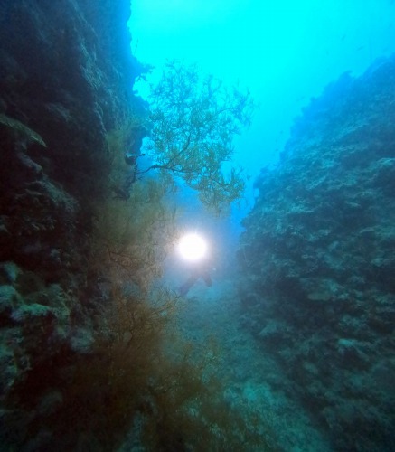 ファンダイビング