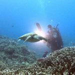 <span class="title">年末の石垣島は寒々とした天気！激混みの大崎で1アンカー3ダイビング？</span>