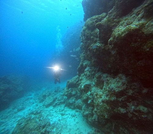 ファンダイビング1