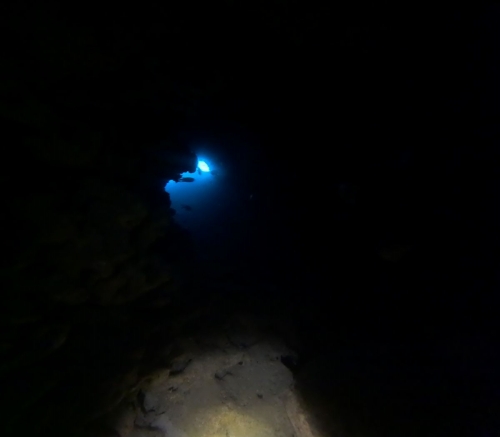 ファンダイビング1