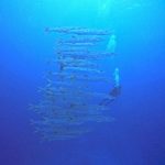 <span class="title">石垣島はポカポカ陽気で透明度も最高！離島エリアで大物系のダイビング！</span>