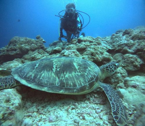 ファンダイビング1