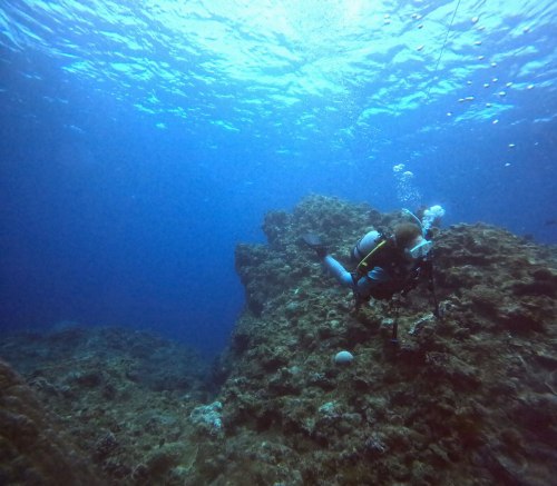 ファンダイビング