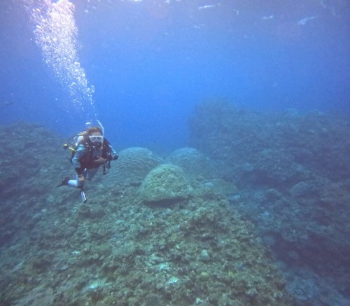 ファンダイビング